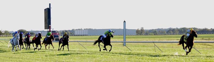Dee Tee Stables